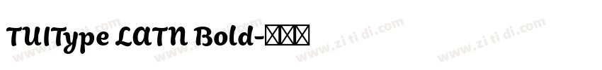 TUIType LATN Bold字体转换